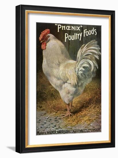 Well-Fed Cock-null-Framed Art Print