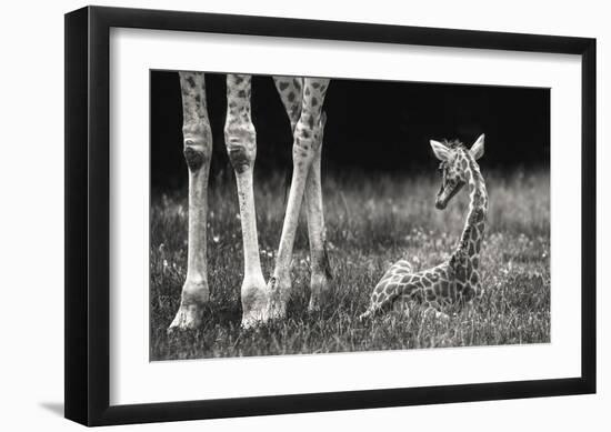 Well Protected-Andreas Feldtkeller-Framed Giclee Print