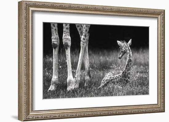 Well Protected-Andreas Feldtkeller-Framed Giclee Print