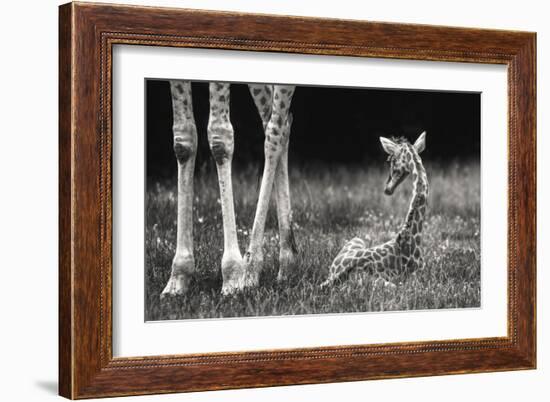 Well Protected-Andreas Feldtkeller-Framed Giclee Print