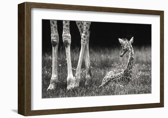 Well Protected-Andreas Feldtkeller-Framed Giclee Print