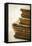 Well Read-Jessica Rogers-Framed Premier Image Canvas