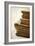 Well Read-Jessica Rogers-Framed Giclee Print