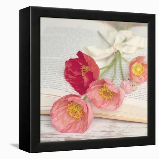 Well Red Poppy-Mandy Lynne-Framed Stretched Canvas