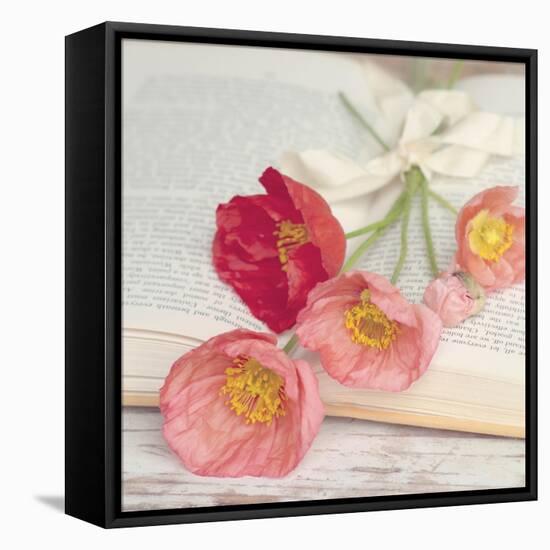 Well Red Poppy-Mandy Lynne-Framed Stretched Canvas