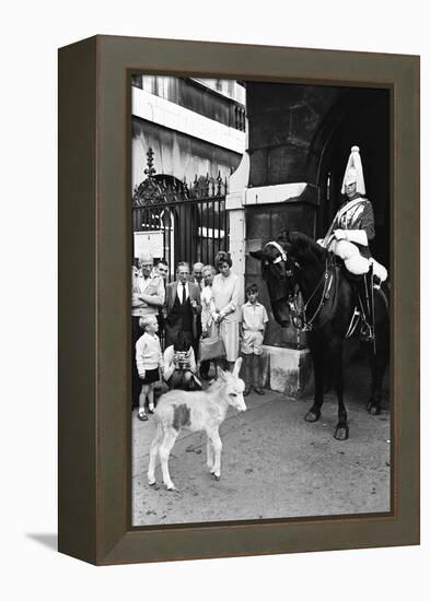 Wellington Barracks at Horse Guards, 1966-Alisdair Macdonald-Framed Premier Image Canvas