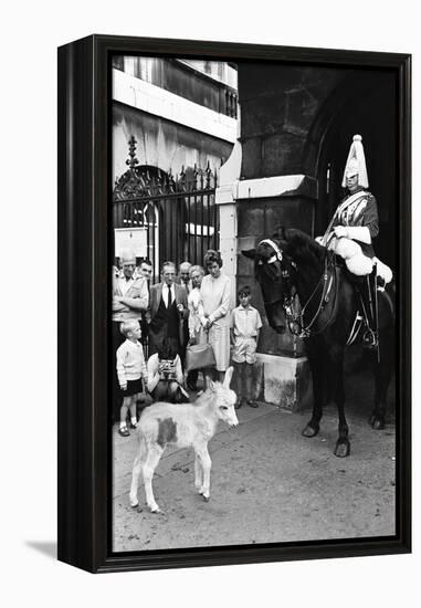 Wellington Barracks at Horse Guards, 1966-Alisdair Macdonald-Framed Premier Image Canvas