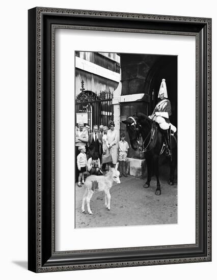 Wellington Barracks at Horse Guards, 1966-Alisdair Macdonald-Framed Photographic Print