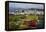 Wellington Cable Car, Wellington, North Island, New Zealand, Pacific-Stuart-Framed Premier Image Canvas