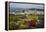 Wellington Cable Car, Wellington, North Island, New Zealand, Pacific-Stuart-Framed Premier Image Canvas