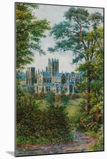 Wells Cathedral, from Tor Hill-Alfred Robert Quinton-Mounted Giclee Print