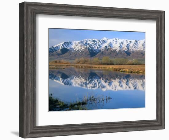 Wellsville Mountains Reflected in Little Bear River in Early Spring, Cache Valley, Utah, USA-Scott T. Smith-Framed Photographic Print