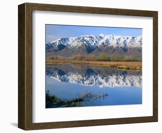 Wellsville Mountains Reflected in Little Bear River in Early Spring, Cache Valley, Utah, USA-Scott T. Smith-Framed Photographic Print