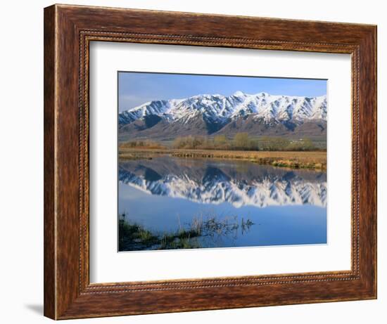 Wellsville Mountains Reflected in Little Bear River in Early Spring, Cache Valley, Utah, USA-Scott T. Smith-Framed Photographic Print