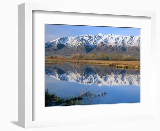 Wellsville Mountains Reflected in Little Bear River in Early Spring, Cache Valley, Utah, USA-Scott T. Smith-Framed Photographic Print