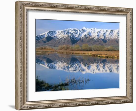 Wellsville Mountains Reflected in Little Bear River in Early Spring, Cache Valley, Utah, USA-Scott T. Smith-Framed Photographic Print