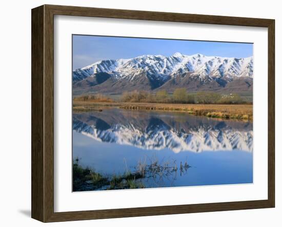 Wellsville Mountains Reflected in Little Bear River in Early Spring, Cache Valley, Utah, USA-Scott T. Smith-Framed Photographic Print