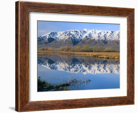 Wellsville Mountains Reflected in Little Bear River in Early Spring, Cache Valley, Utah, USA-Scott T. Smith-Framed Photographic Print