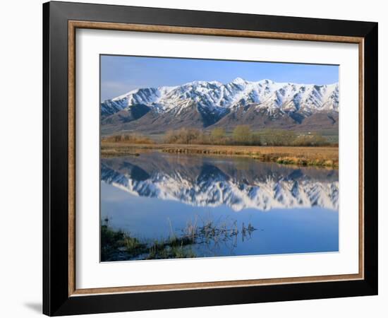 Wellsville Mountains Reflected in Little Bear River in Early Spring, Cache Valley, Utah, USA-Scott T. Smith-Framed Photographic Print