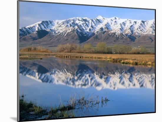 Wellsville Mountains Reflected in Little Bear River in Early Spring, Cache Valley, Utah, USA-Scott T. Smith-Mounted Photographic Print