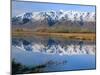 Wellsville Mountains Reflected in Little Bear River in Early Spring, Cache Valley, Utah, USA-Scott T. Smith-Mounted Photographic Print