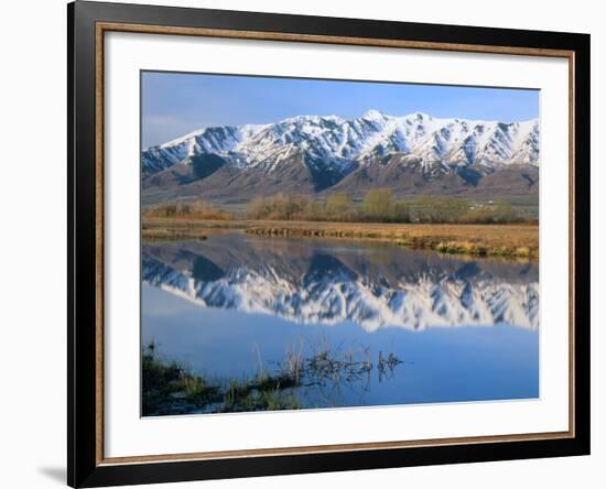 Wellsville Mountains Reflected in Little Bear River in Early Spring, Cache Valley, Utah, USA-Scott T. Smith-Framed Photographic Print