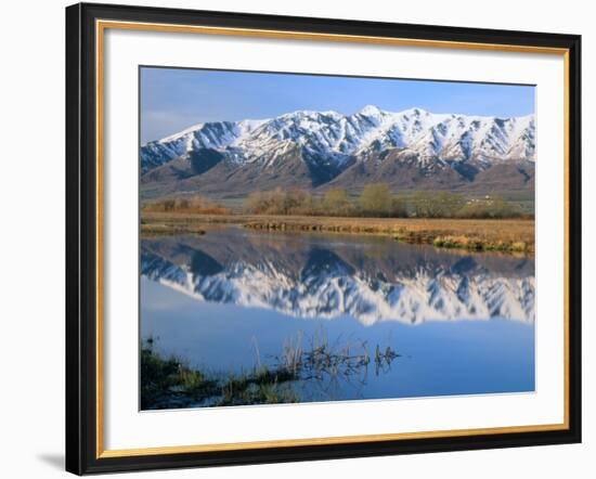 Wellsville Mountains Reflected in Little Bear River in Early Spring, Cache Valley, Utah, USA-Scott T. Smith-Framed Photographic Print