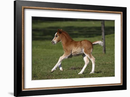 Welsh 034-Bob Langrish-Framed Photographic Print