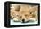 Welsh Corgi Dog (Pembroke), Close-Up Asleep-null-Framed Premier Image Canvas