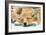 Welsh Corgi Dog (Pembroke), Close-Up Asleep-null-Framed Photographic Print