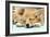 Welsh Corgi Dog (Pembroke), Close-Up Asleep-null-Framed Photographic Print