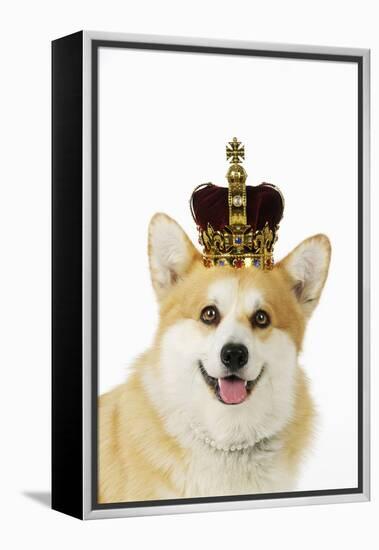 Welsh Corgi Dog Wearing Crown and Pearls-null-Framed Premier Image Canvas