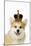 Welsh Corgi Dog Wearing Crown and Pearls-null-Mounted Photographic Print