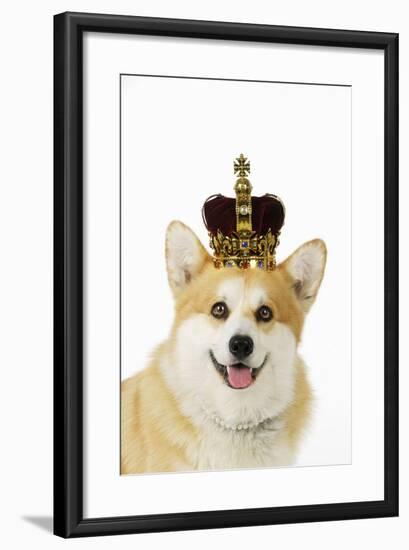 Welsh Corgi Dog Wearing Crown and Pearls-null-Framed Photographic Print