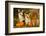 Welsh Corgi Pembroke Dog-Lilun-Framed Photographic Print