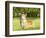 Welsh Corgi Pembroke-f8grapher-Framed Photographic Print