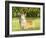 Welsh Corgi Pembroke-f8grapher-Framed Photographic Print