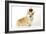 Welsh Corgi Wearing Crown and Pearls-null-Framed Photographic Print