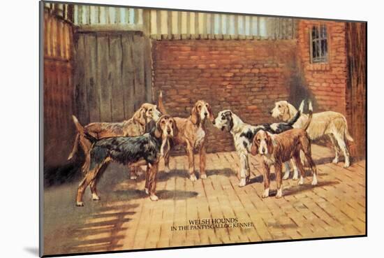 Welsh Hounds-Thomas Ivester Llyod-Mounted Art Print