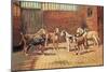 Welsh Hounds-Thomas Ivester Llyod-Mounted Art Print