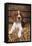 Welsh Springer Spaniel, Lying on Hay-null-Framed Premier Image Canvas