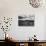 Welsh Wheat Fields with Snowdonia in the Distance-null-Photographic Print displayed on a wall