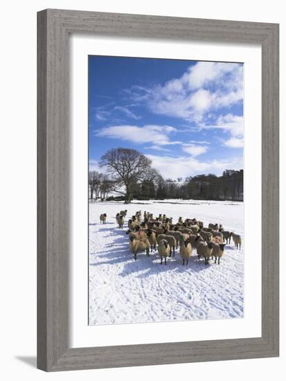 Welsh Winter Landscape-Charles Bowman-Framed Photographic Print