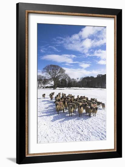 Welsh Winter Landscape-Charles Bowman-Framed Photographic Print