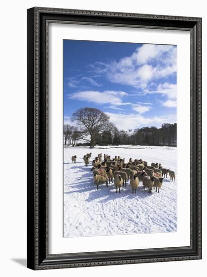 Welsh Winter Landscape-Charles Bowman-Framed Photographic Print