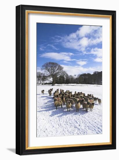 Welsh Winter Landscape-Charles Bowman-Framed Photographic Print