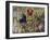 Weltgericht-Stephan Lochner-Framed Giclee Print