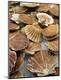 Premium Photographic Print