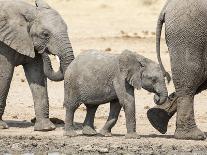 Namibia, Etosha NP. Baby Elephant Walking Between Two Adults-Wendy Kaveney-Photographic Print
