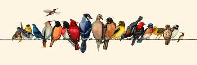 Bird Menagerie III-Wendy Russell-Art Print